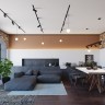 Светильник трековый подвесной NOVOTECH FLUM HANG BALL 358472 (10 Вт,4000 K,белый)