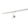 Светильник трековый спот DENKIRS DK6001-WH белый (50W)
