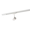 Светильник трековый спот DENKIRS DK6001-WH белый (50W)